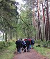 Herfstwandeling op 20-10-2013 (53)